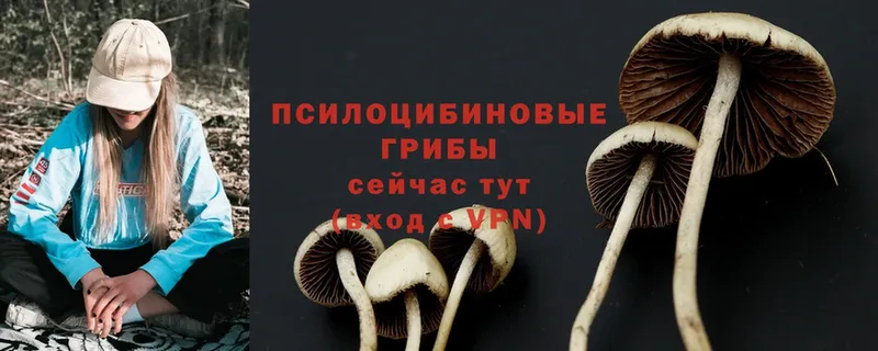 Галлюциногенные грибы Magic Shrooms  Владимир 